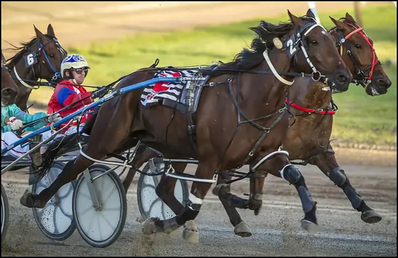 Why Horse Betting Is So Popular